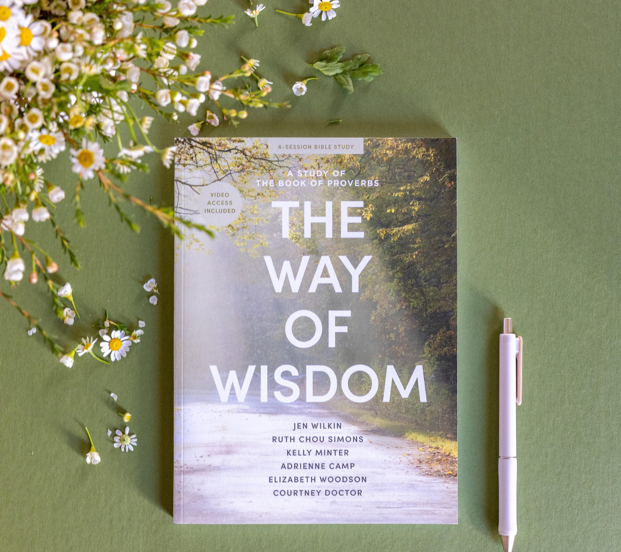 The Way of Wisdom, A Study of Proverbs, Women’s Study